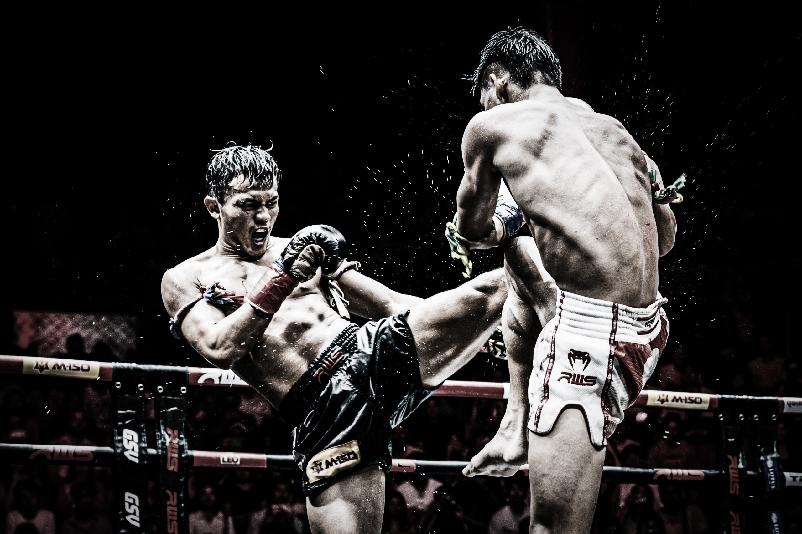 Muay Thai training session