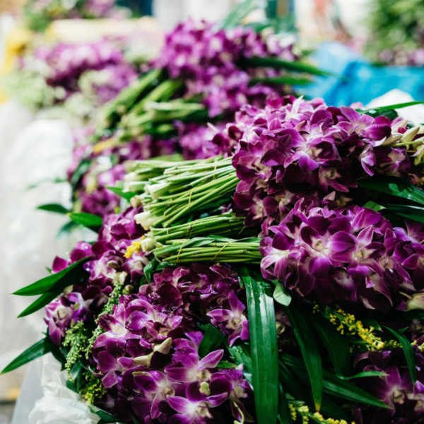 orchids at flower market bangkok
