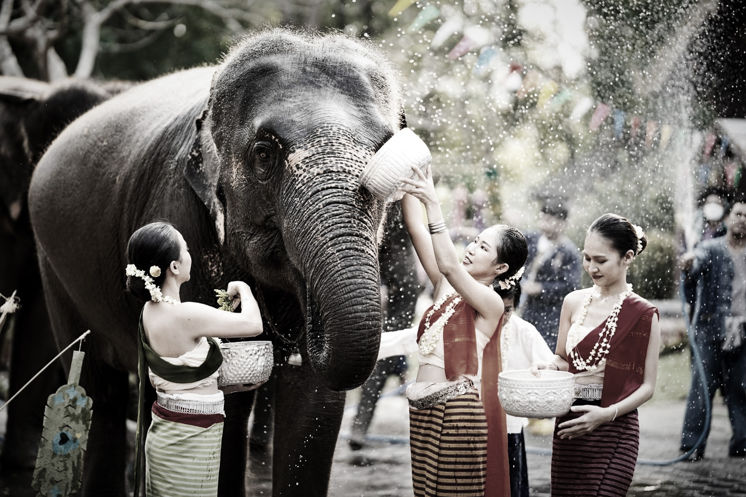 Songkran water festival celebration