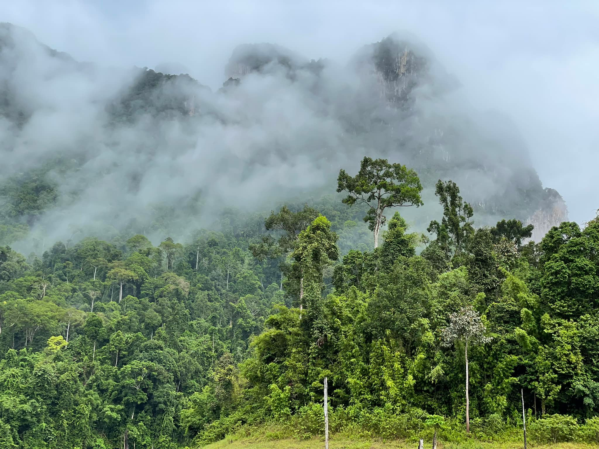 Khao Sok at dawn — mist over the ancient rainforest