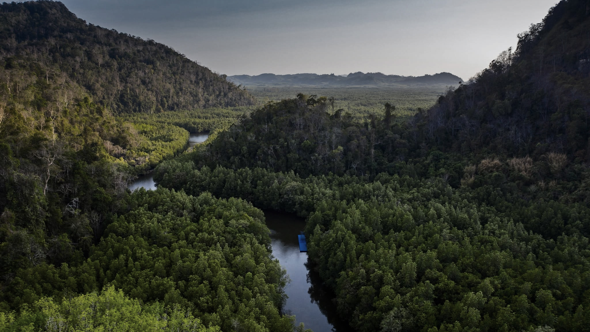 Dawn kayaking through La-Ngu mangrove channels — mist, limestone cliffs, 500-million-year fossils at eye level